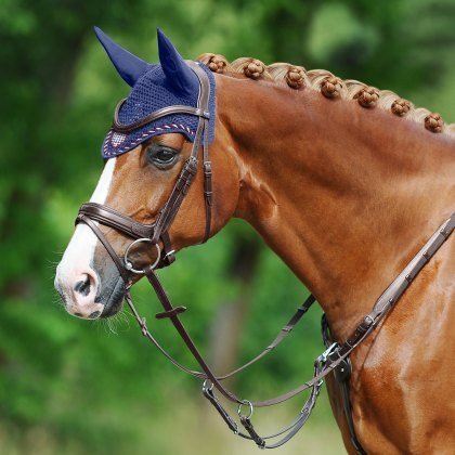 Passier Marcus Ehing II Snaffle Bridle w/ Rubber Reins Passier Marcus Ehing II Snaffle Bridle w/ Rubber Reins