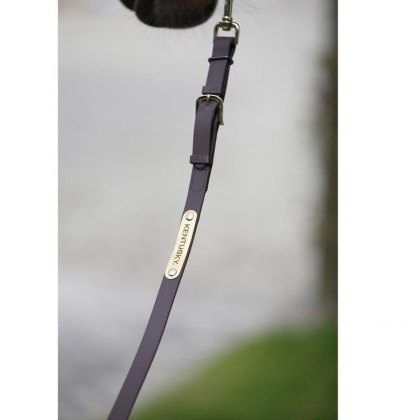 Kentucky Presentation Lead Rein Kentucky Presentation Lead Rein