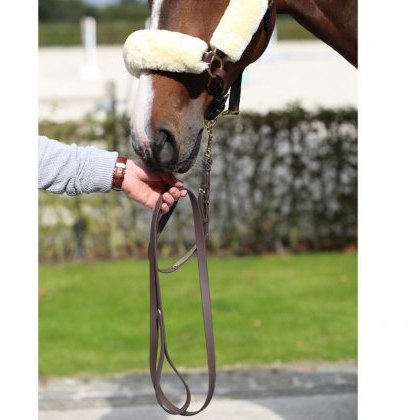 Kentucky Presentation Lead Rein Kentucky Presentation Lead Rein