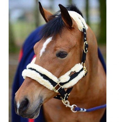 Kentucky Nylon Sheepskin Head Collar
