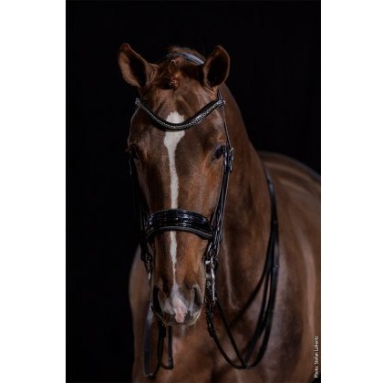 Schockemohle Milan Glam Bridle Schockemohle Milan Glam Bridle