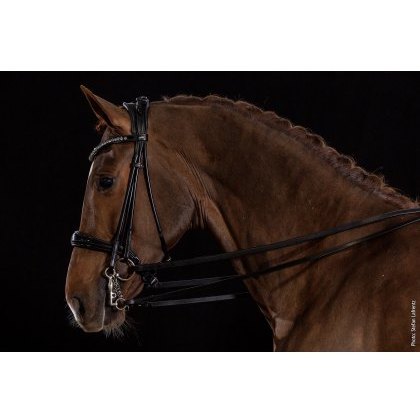 Schockemohle Kensington Bridle Schockemohle Kensington Bridle