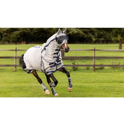 LeMieux Kudos Gladiator Fly Rug LeMieux Kudos Gladiator Fly Rug