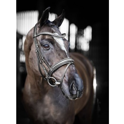 LeMieux Arika Dressage Bridle LeMieux Arika Dressage Bridle