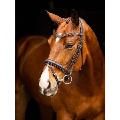 LeMieux Arika Dressage Bridle LeMieux Arika Dressage Bridle