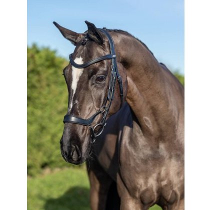 LeMieux Arika Drop Bridle LeMieux Arika Drop Bridle