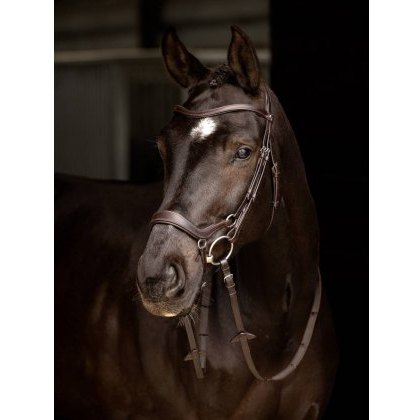 LeMieux Arika Drop Bridle LeMieux Arika Drop Bridle
