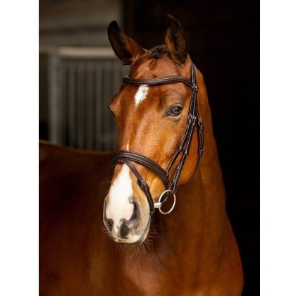 LeMieux Arika Flash Bridle LeMieux Arika Flash Bridle