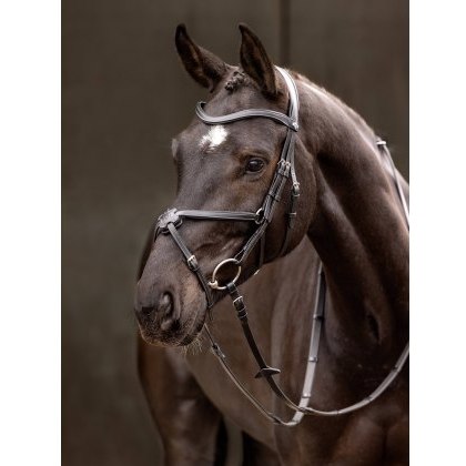 LeMieux Arika Grackle Bridle LeMieux Arika Grackle Bridle