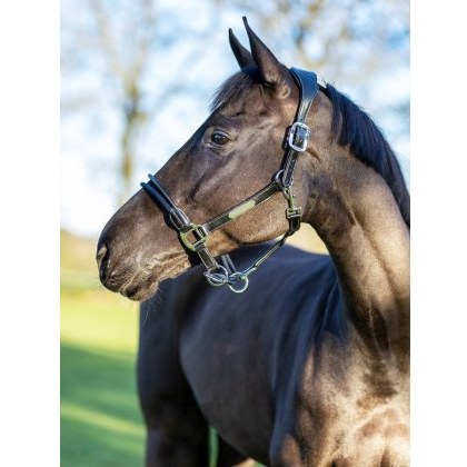 LeMieux Rope Control Headcollar LeMieux Rope Control Headcollar