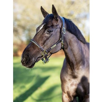 LeMieux Rope Control Headcollar LeMieux Rope Control Headcollar