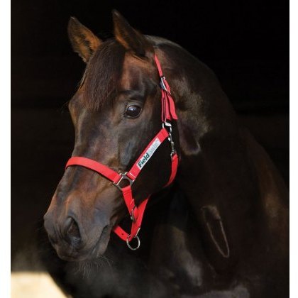 Horseware Fieldsafe Headcollar Horseware Fieldsafe Headcollar
