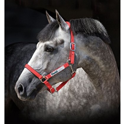 Horseware Fieldsafe Headcollar Horseware Fieldsafe Headcollar