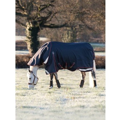 LeMieux Kudos Turnout Rug - 100g LeMieux Kudos Turnout Rug - 100g