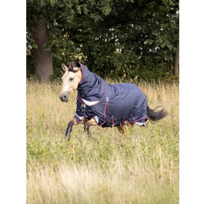 LeMieux Kudos Turnout Rug - 50g LeMieux Kudos Turnout Rug - 50g