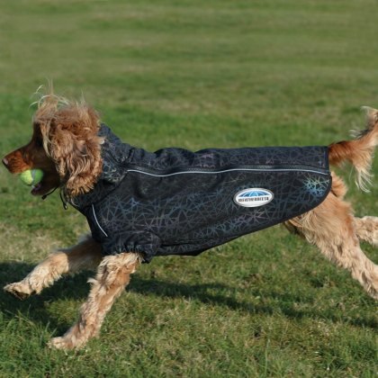 Weatherbeeta Comfitec Reflective Active Dog Coat Weatherbeeta Comfitec Reflective Active Dog Coat