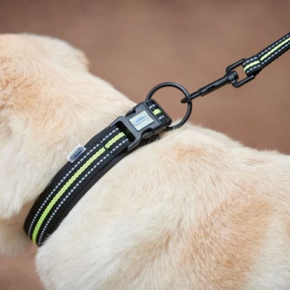 Weatherbeeta Reflective Dog Collar Weatherbeeta Reflective Dog Collar