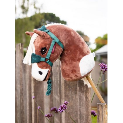 Hobby Horse's & Accessories
