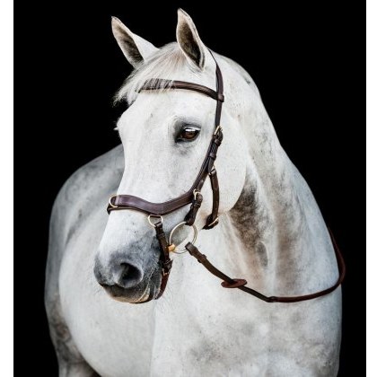 Rambo Micklem 2 Multi Bridle Rambo Micklem 2 Multi Bridle