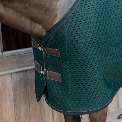 Kentucky 4D Spacer Cooler Sheet – Pine Green Kentucky 4D Spacer Cooler Sheet – Pine Green