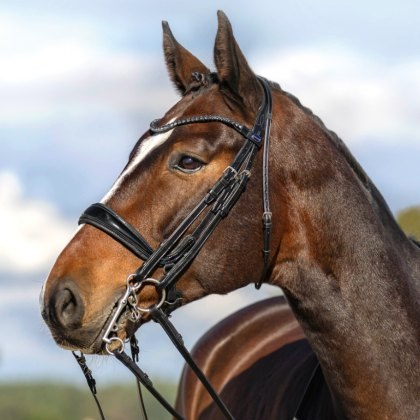Passier Moonlight Double Bridle w/ Reins Passier Moonlight Double Bridle w/ Reins