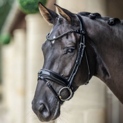 LeMieux Kudos Patent Dressage Bridle - Black LeMieux Kudos Patent Dressage Bridle - Black
