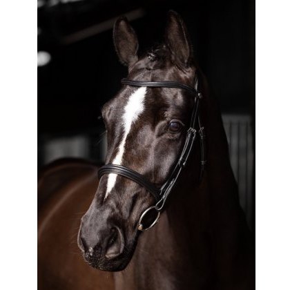 LeMieux Arika Cavesson Bridle LeMieux Arika Cavesson Bridle