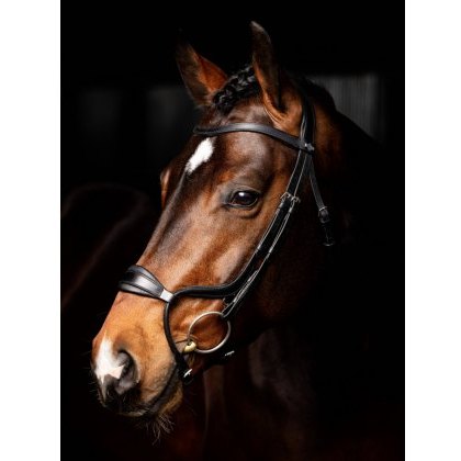 LeMieux Arika Anatomic Noseband Bridle - Black LeMieux Arika Anatomic Noseband Bridle - Black