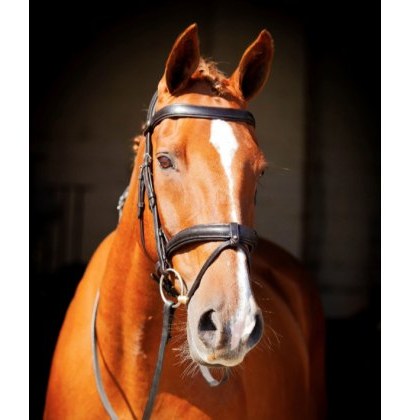 Ecorider Claddagh Bridle Ecorider Claddagh Bridle