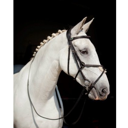 Ecorider Galway v2.0 Grackle Bridle Ecorider Galway v2.0 Grackle Bridle