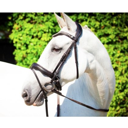 Ecorider Navan v2.0 Bridle Ecorider Navan v2.0 Bridle