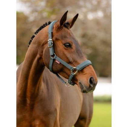 LeMieux Soft Shell Headcollar - Cinder LeMieux Soft Shell Headcollar - Cinder