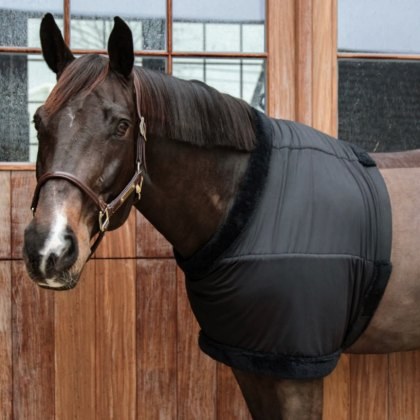 Kentucky Chest Protection Kentucky Chest Protection