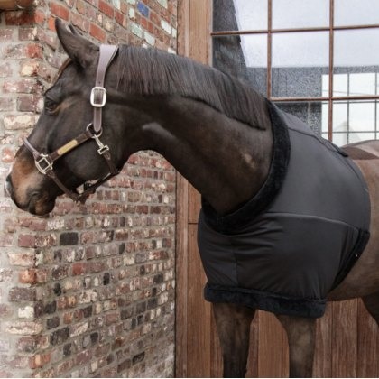 Kentucky Chest Protection Kentucky Chest Protection