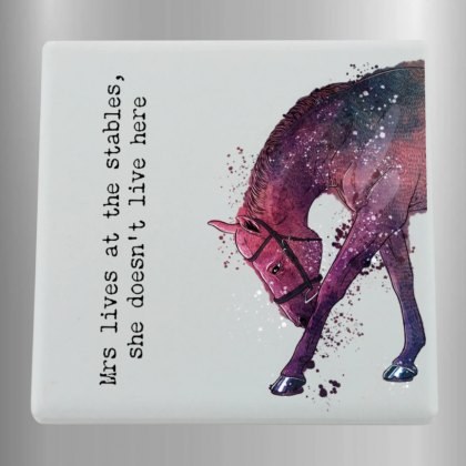Platinum Agencies Ltd Stables Ceramic Magnet Platinum Agencies Ltd Stables Ceramic Magnet