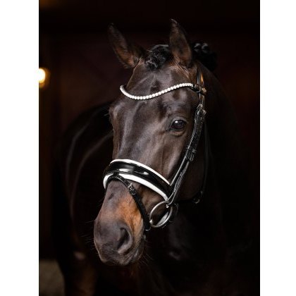 LeMieux Ice Crystal Browband - Black LeMieux Ice Crystal Browband - Black