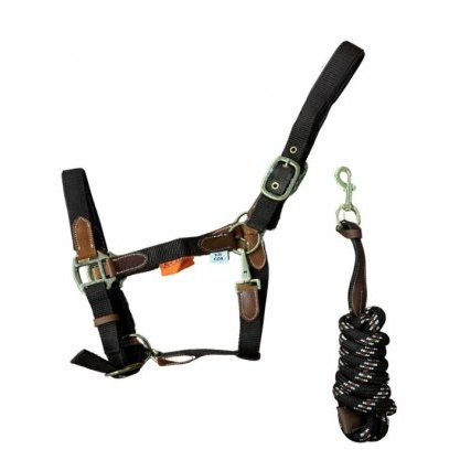 Cameo Equine Performance Leather Headcollar And Lead