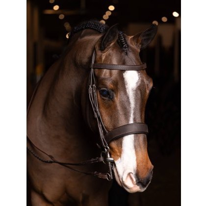 LeMieux Flat Hunter Bridle with Laced Reins LeMieux Flat Hunter Bridle with Laced Reins
