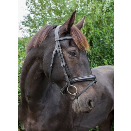 Ecorider Ecosoft Luxe Bridle Ecorider Ecosoft Luxe Bridle