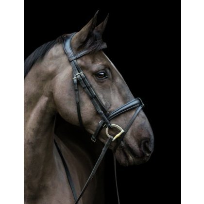 Ecorider Ecosoft Luxe Bridle Ecorider Ecosoft Luxe Bridle