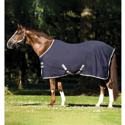 Amigo Stable Sheet Amigo Stable Sheet