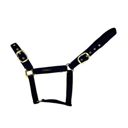 Cameo Equine Suede Padded Headcollar