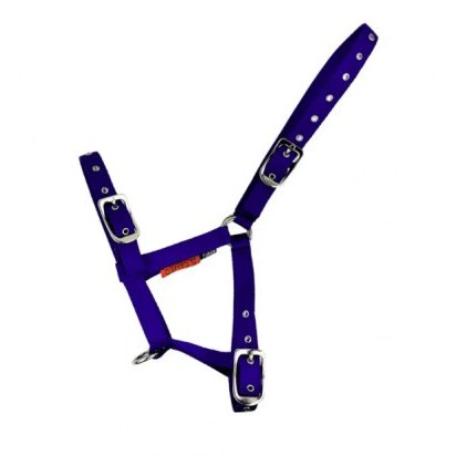 Cameo Equine Foal Headcollar