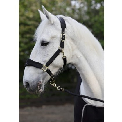 Cameo Equine Suede Elite Headcollar & Leadrope
