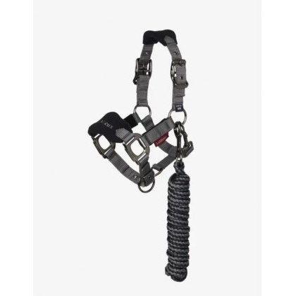 LeMieux Mini Vogue Headcollar - Black