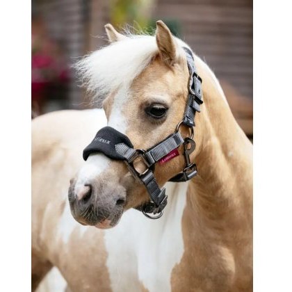 LeMieux Mini Vogue Headcollar - Black
