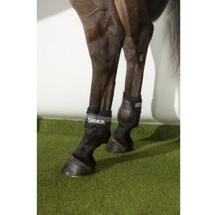 Eskadron Protection Fetlock Boots - Dark Brown Eskadron Protection Fetlock Boots - Dark Brown