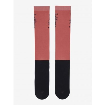 LeMieux Competition Socks (2 Pack) - Cranberry LeMieux Competition Socks (2 Pack) - Cranberry