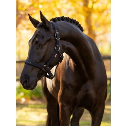 LeMieux Essence Headcollar - Black