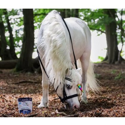 Horse Health Calming Cookies - Unicorn Horse Health Calming Cookies - Unicorn
